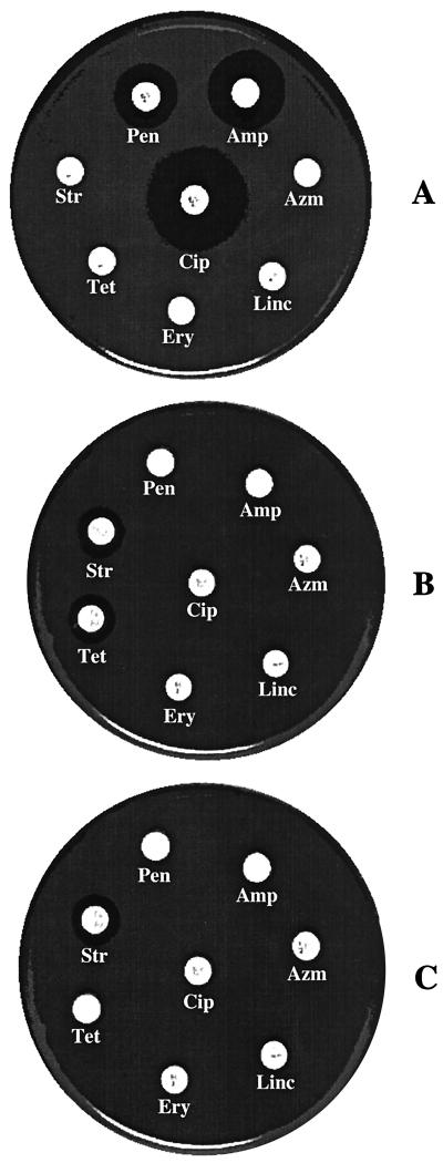 FIG. 1