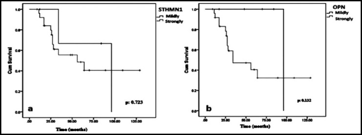 Fig.2a