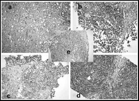 Fig.1a