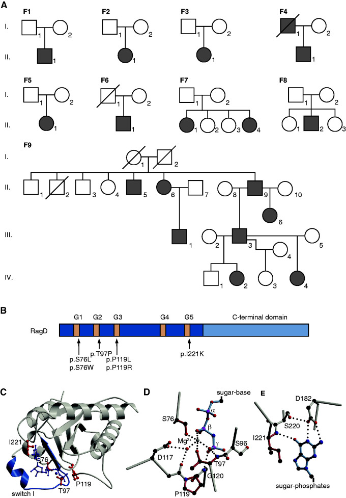 Figure 2.