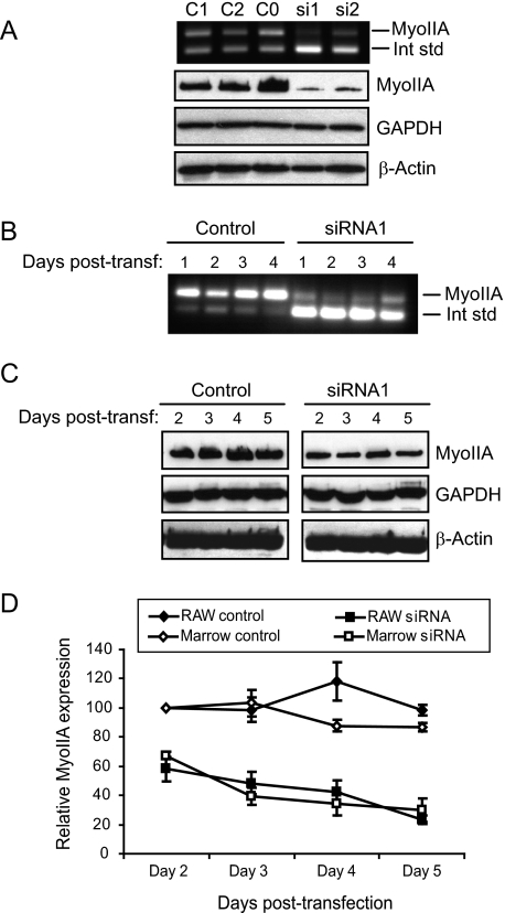 FIGURE 4.