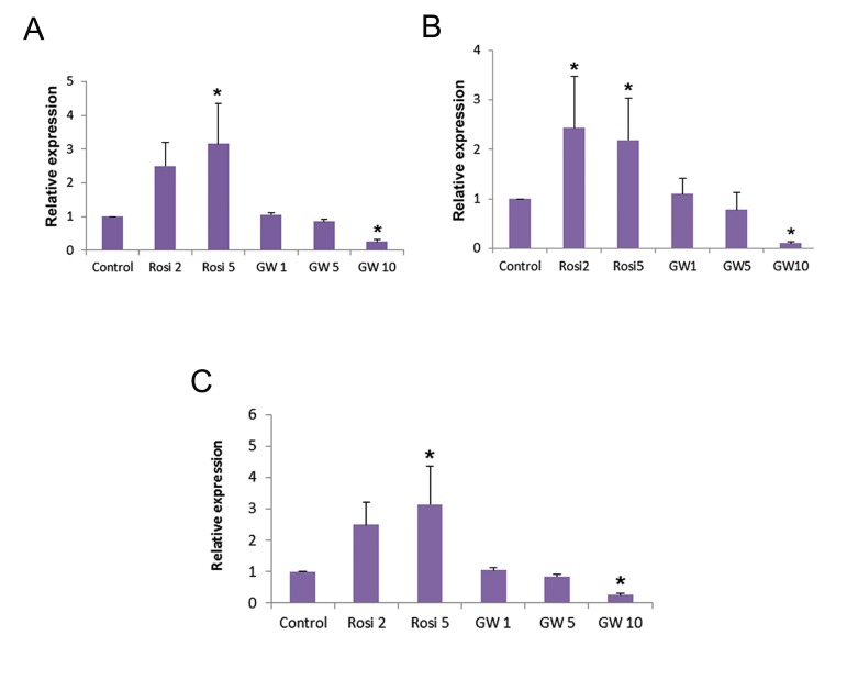 Fig.3