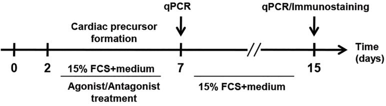 Fig.2