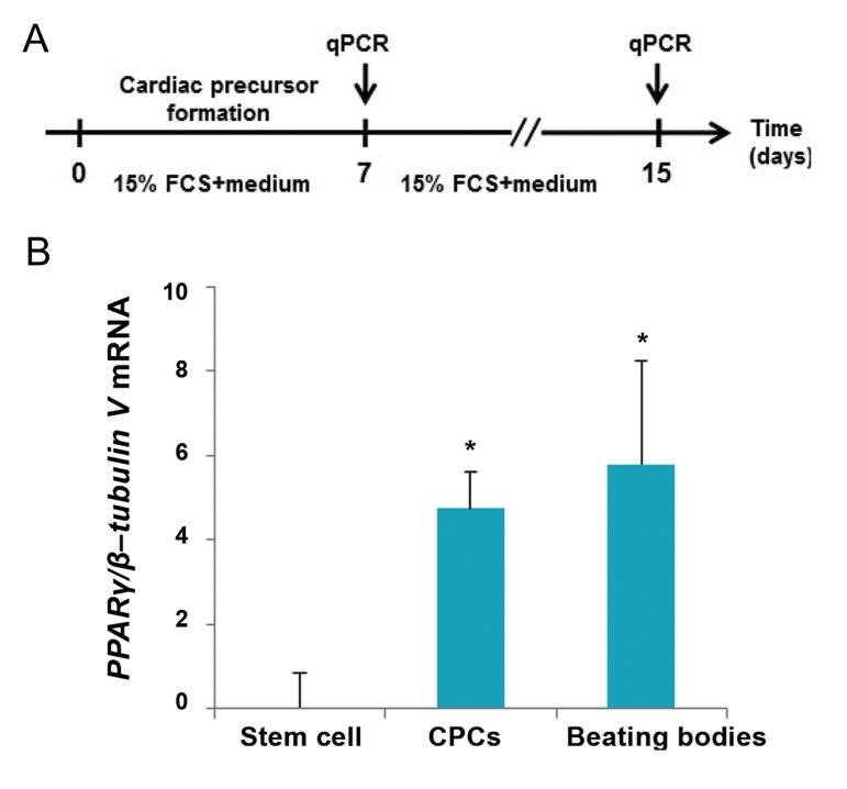 Fig.1