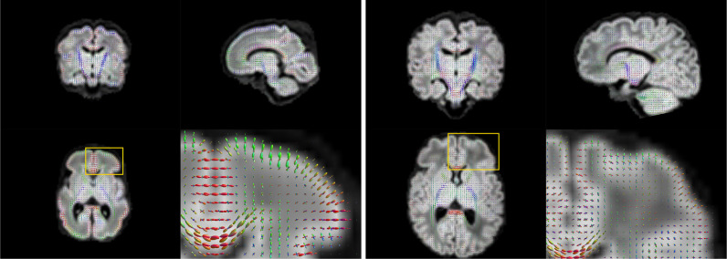 Fig. 10