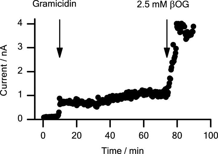 Figure 12. 