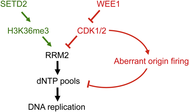 Figure 6