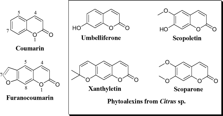 Fig. 1