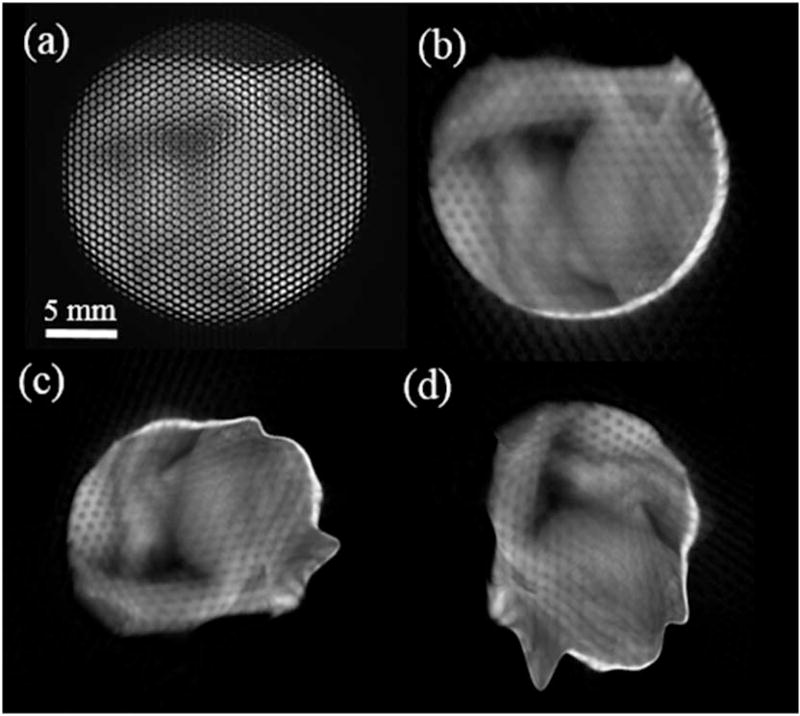 Fig. 7