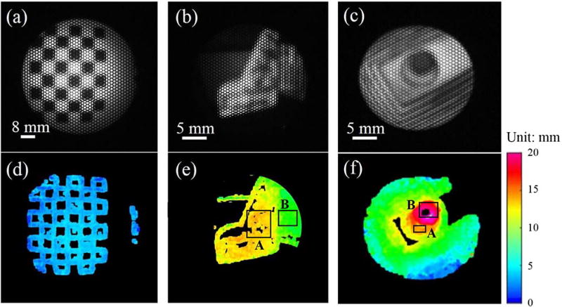 Fig. 6