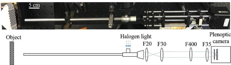 Fig. 1