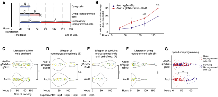 Figure 4