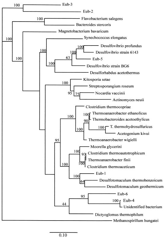 FIG. 1