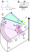 Fig. 6.