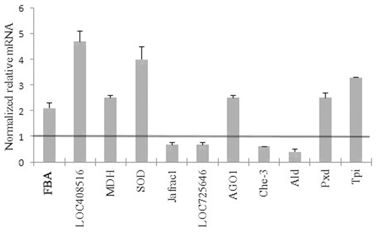 Figure 7