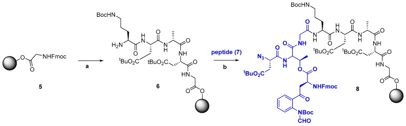 Scheme 5