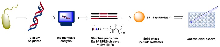 Scheme 2