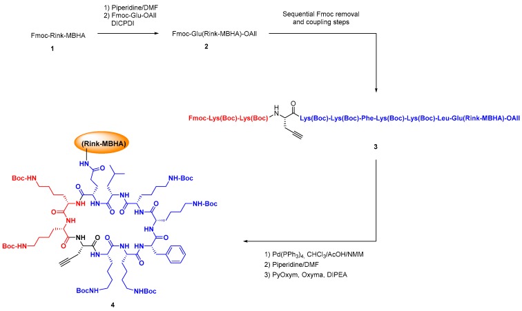 Scheme 4