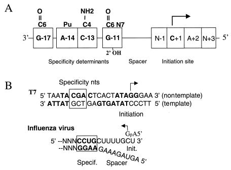 FIG. 6