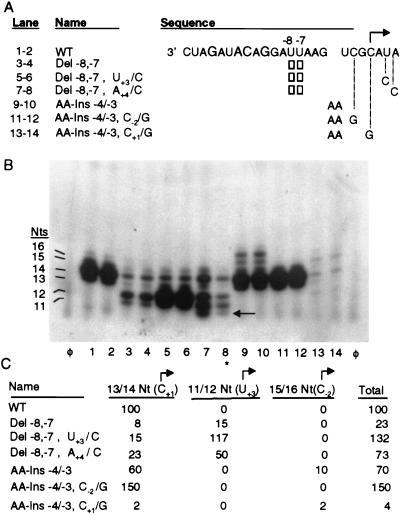 FIG. 5