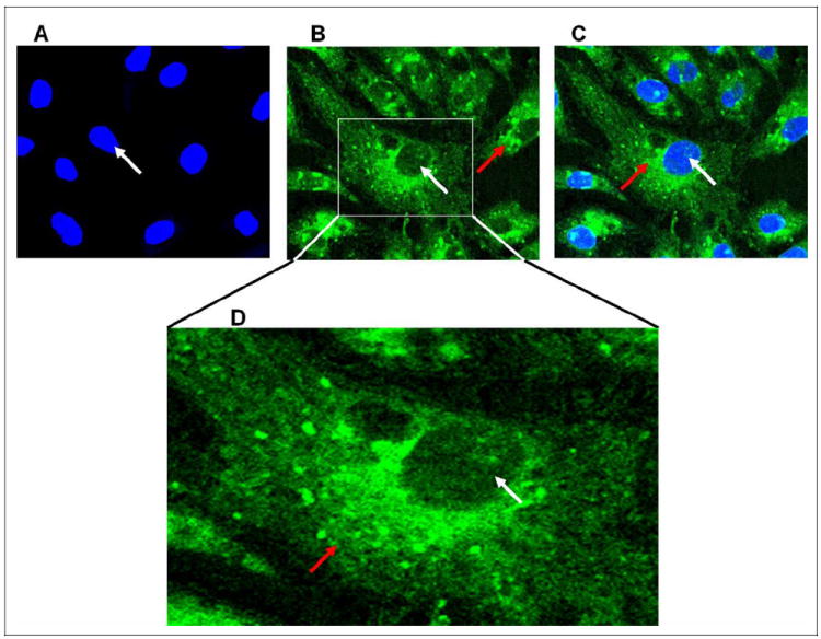 Figure 13