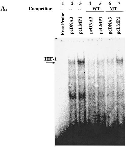 FIG. 5.