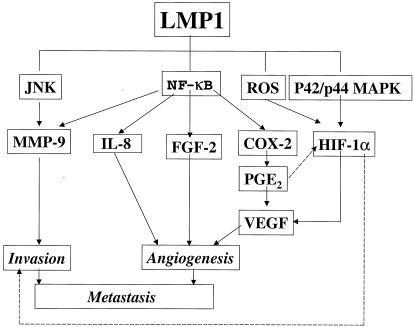 FIG. 6.