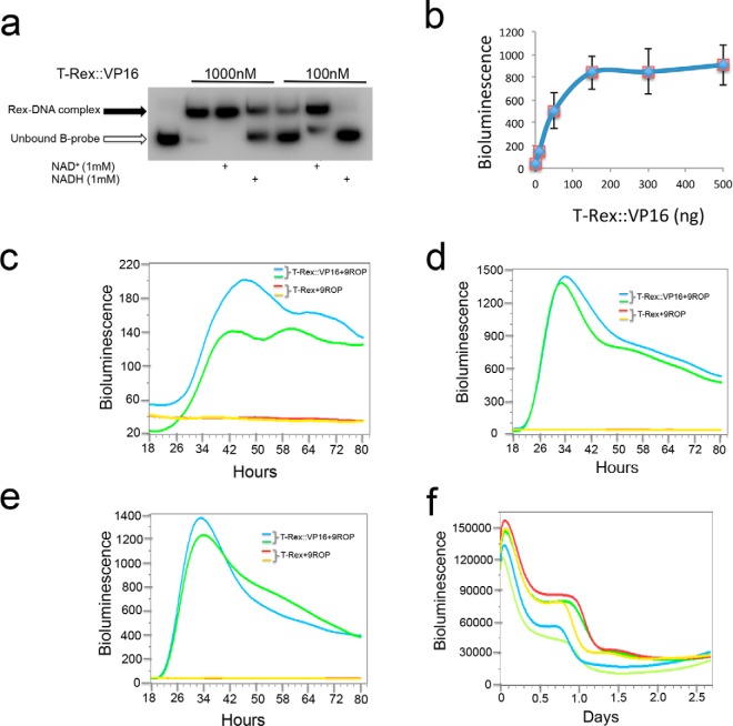 FIGURE 3.