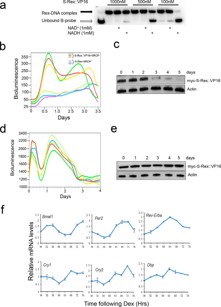 FIGURE 4.