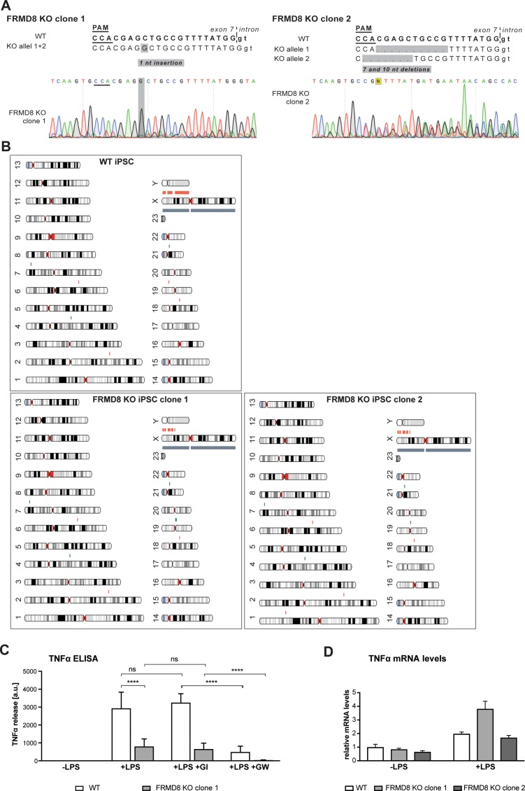 Figure 9—figure supplement 1.