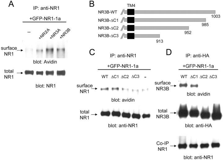 Figure 6.