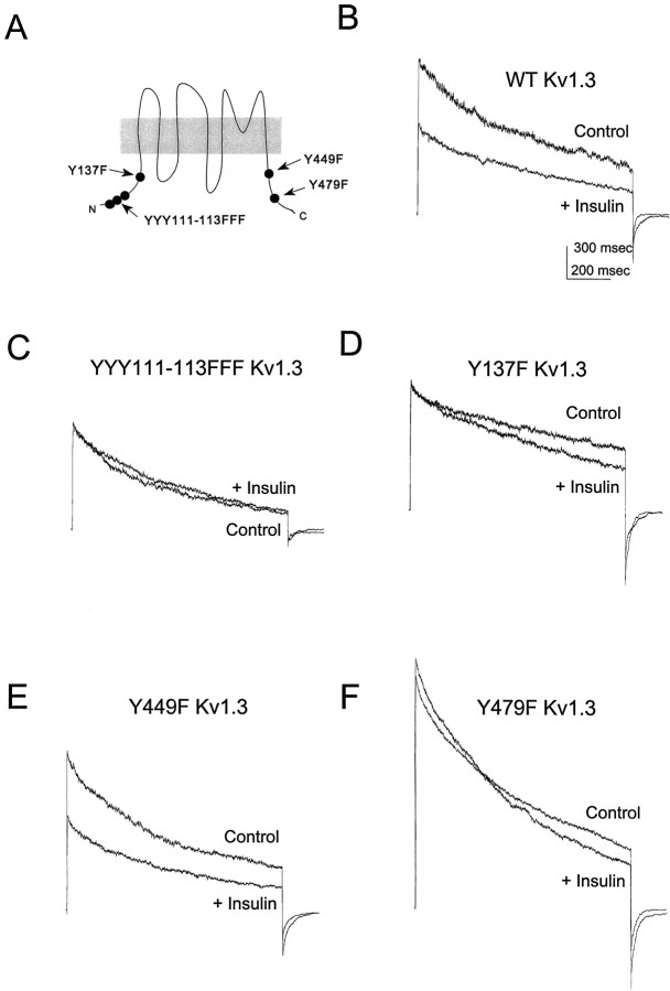 Fig. 10.