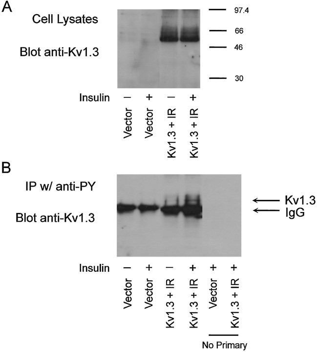 Fig. 9.