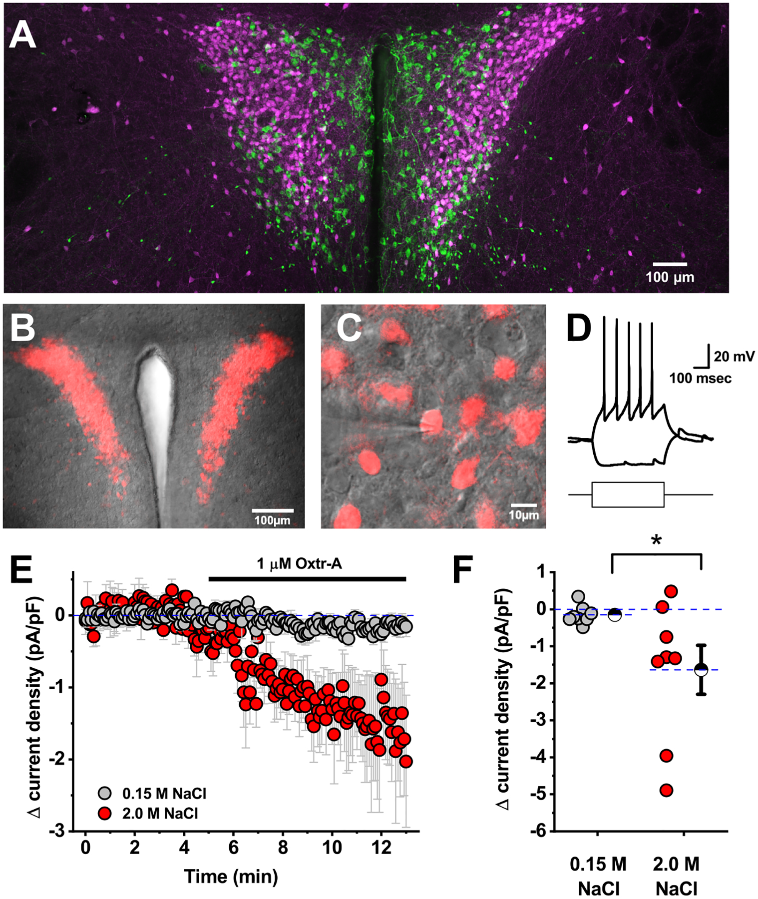 Figure 1: