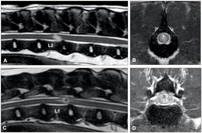 Figure 14