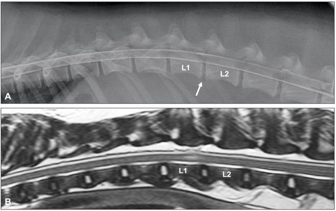 Figure 10