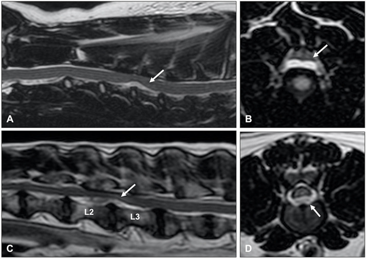 Figure 13