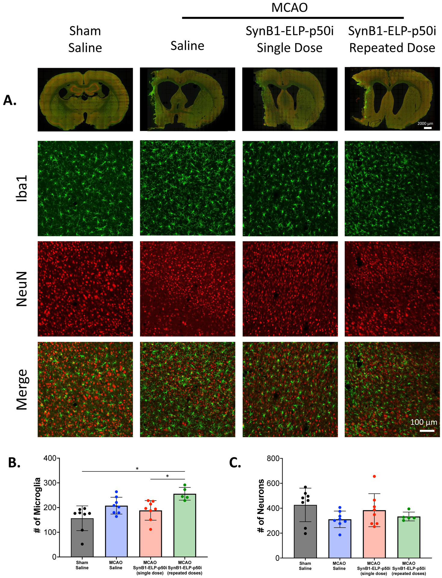 Figure 5: