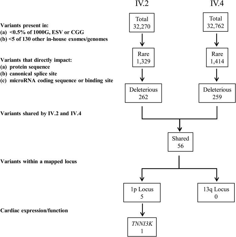 Figure 2.