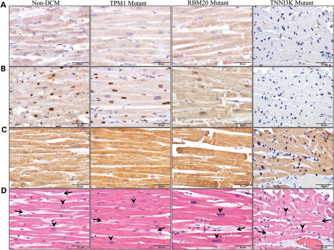 Figure 5.