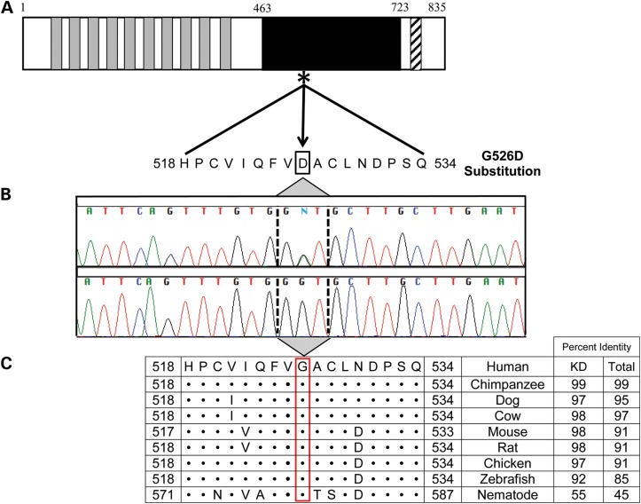 Figure 3.