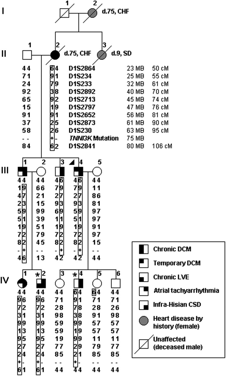 Figure 1.