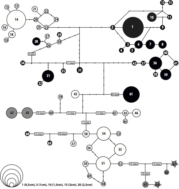 Fig 2