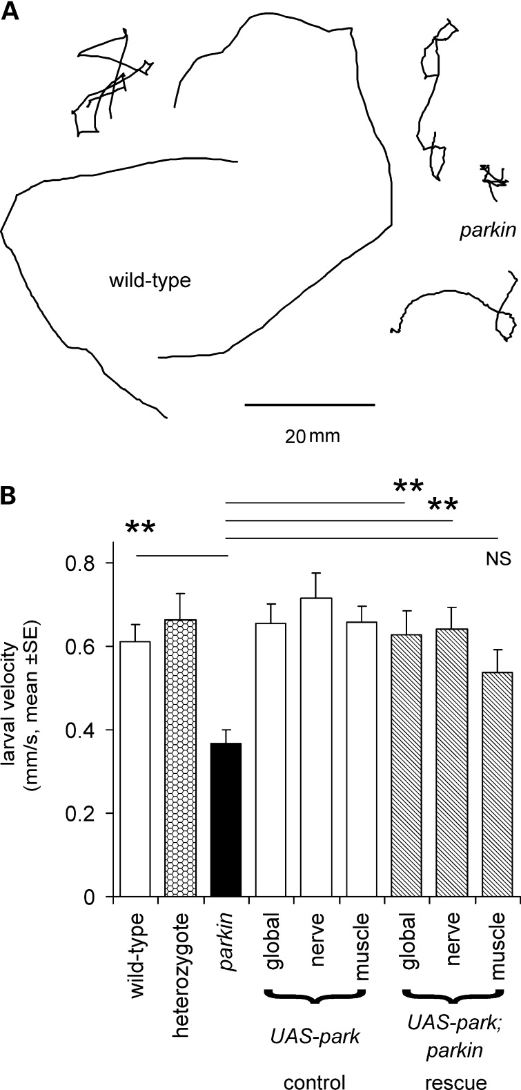 Figure 1.