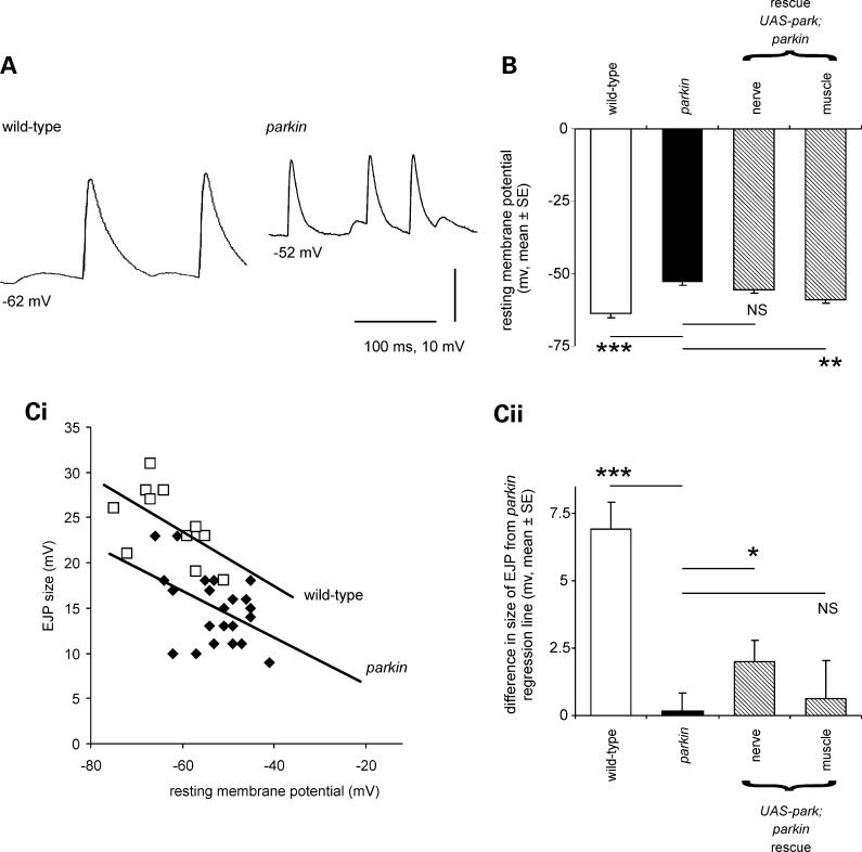 Figure 4.