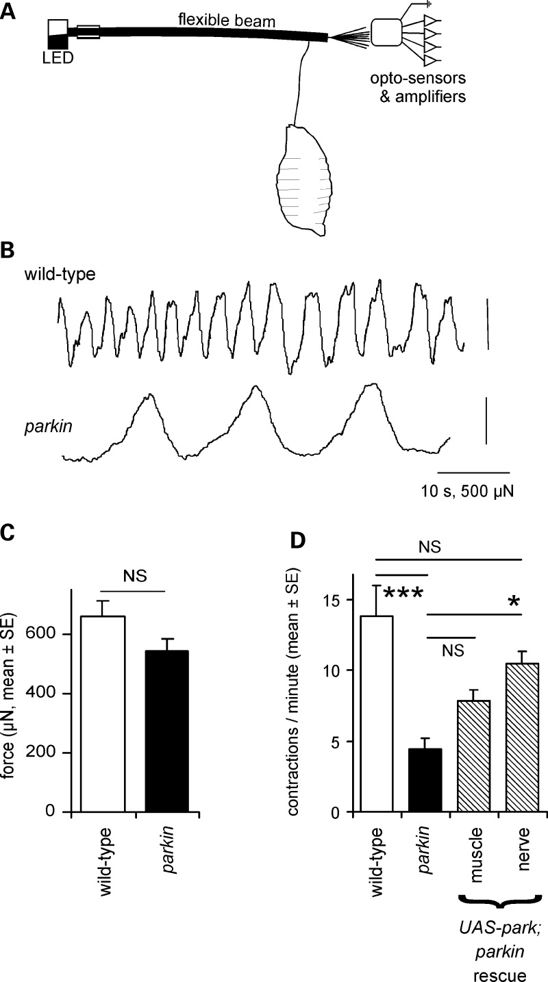 Figure 2.