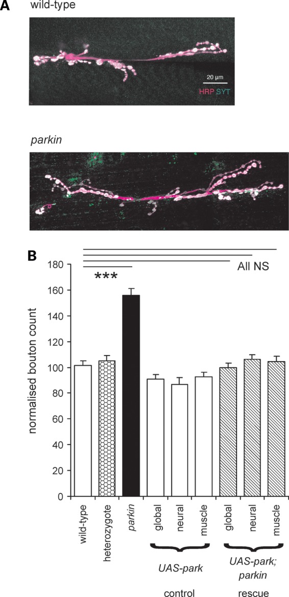 Figure 7.