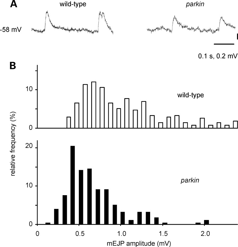 Figure 5.