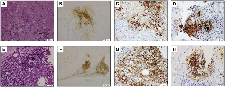 Figure 4