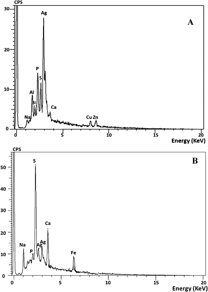 Fig. 7